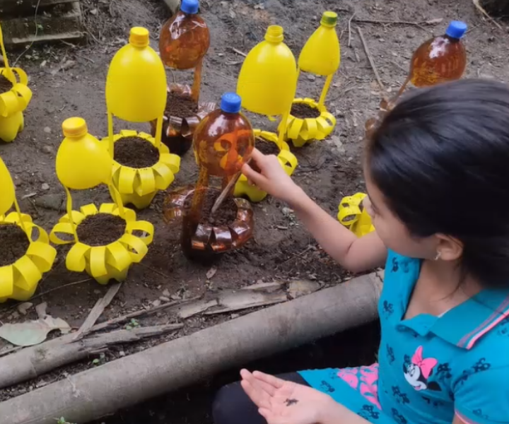 Niña con semillas en la mano, trabaja en el huerto que se compone de macetas realizadas con botellas plásticas.