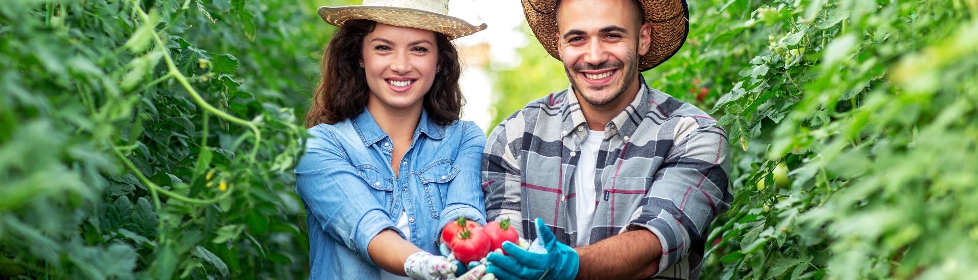 Dos personas sonrientes y en medio de un cultiven, exhiben unos frutos con sus manos extendidas