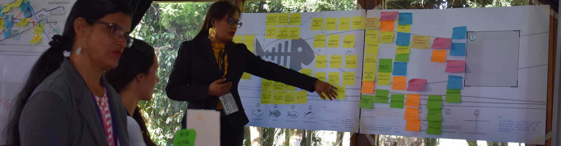 Personas participando en el taller fortalecer las competencias empresariales en las regiones y el aumento de la competitividad 