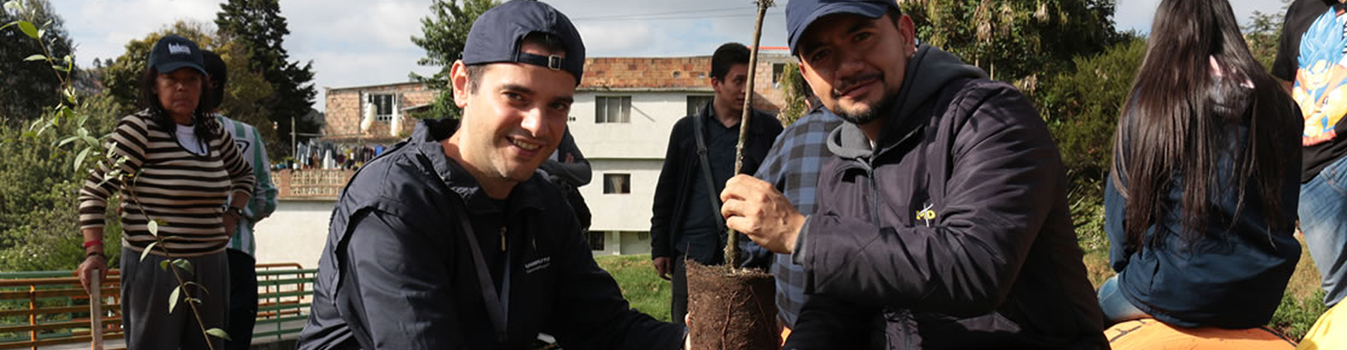 Banner CED Tolima Investigación