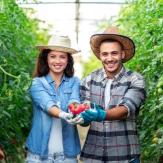 os personas sonrientes y en medio de un cultiven, exhiben unos frutos con sus manos extendidas