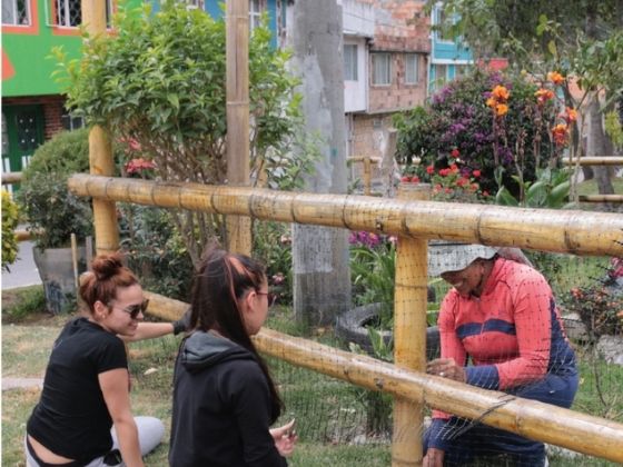 Mujeres sembrando plantas 