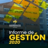 Informe de Gestión 2020