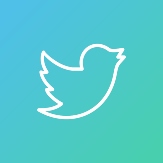 Logo Twitter