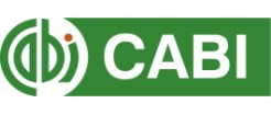 Cabi Cabi