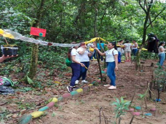 Proyectos sociales de formación