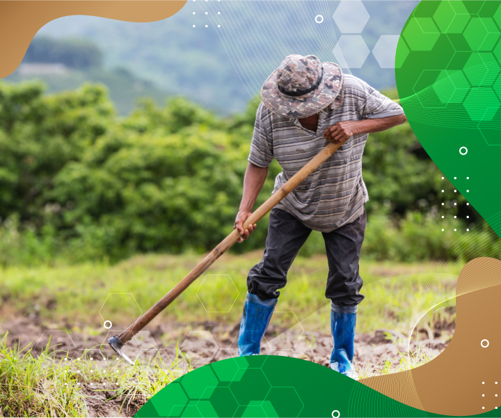 El campo necesita fortalecer sus emprendimientos El campo necesita fortalecer sus emprendimientos