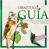 Ornitologuía: una aproximación a las aves de humedal
