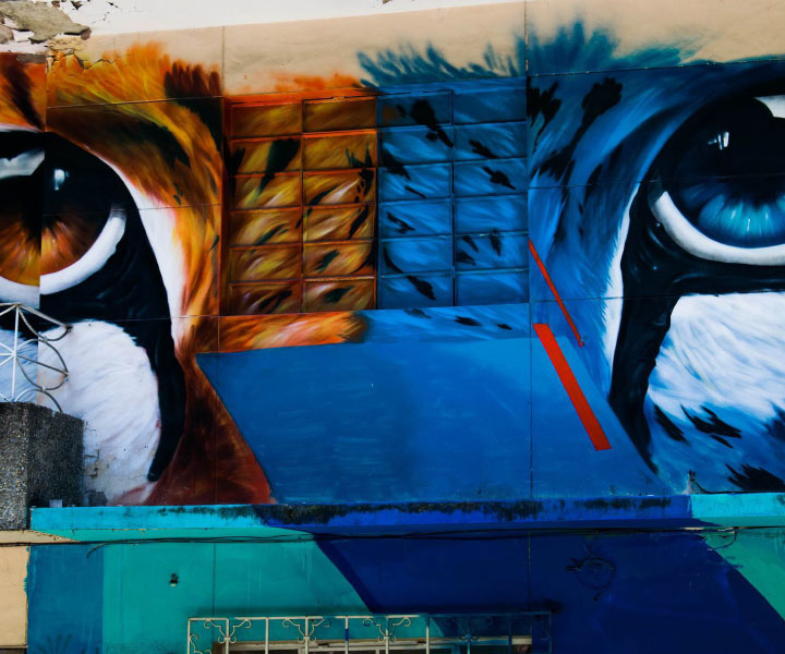 Graffiti colorido de ojos de tigre en fachada de casa.