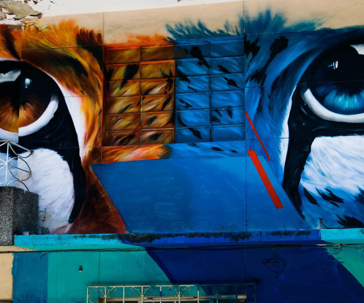 Medellín es cultura: Vuelve el Graffitour Graffiti colorido de ojos de tigre en fachada de casa.