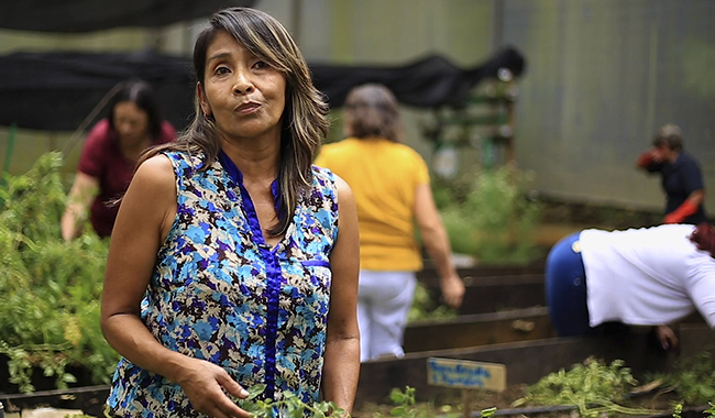 Mujeres de la red de familias UNIMINUTO en la huerta