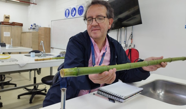 UNIMINUTO Bogotá – Presencial le apuesta a la sostenibilidad ambiental con la elaboración de bicicletas de bambú.