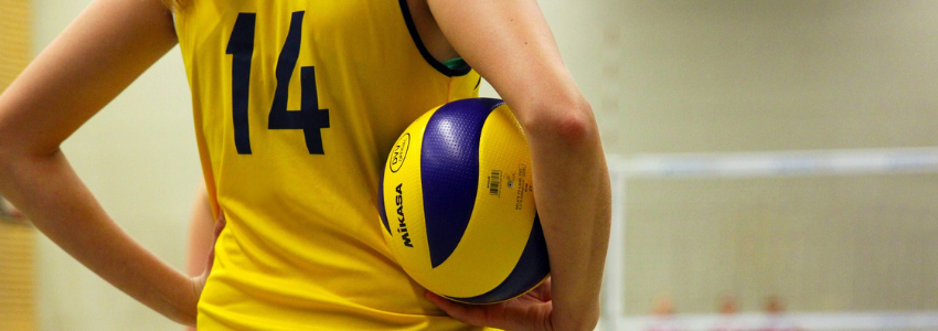 Voleibol Voleibol