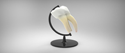 Aula Especializada de Mecánica Dental Aula Especializada de Mecánica Dental