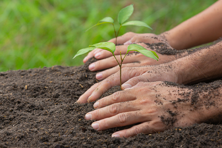 Jornada ambiental en Altos de Cazucá