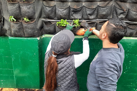 Fortaleciendo la recuperación ambiental en espacios urbanos