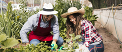 La Huerta La Huerta