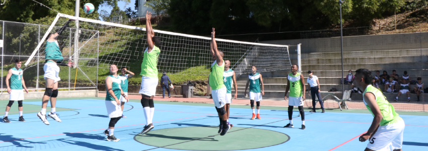 Competencia de voleibol masculino