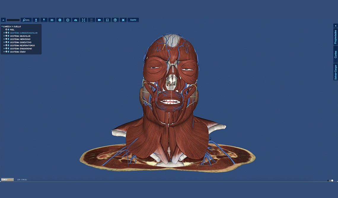 BioTK - Atlas de Anatomía
