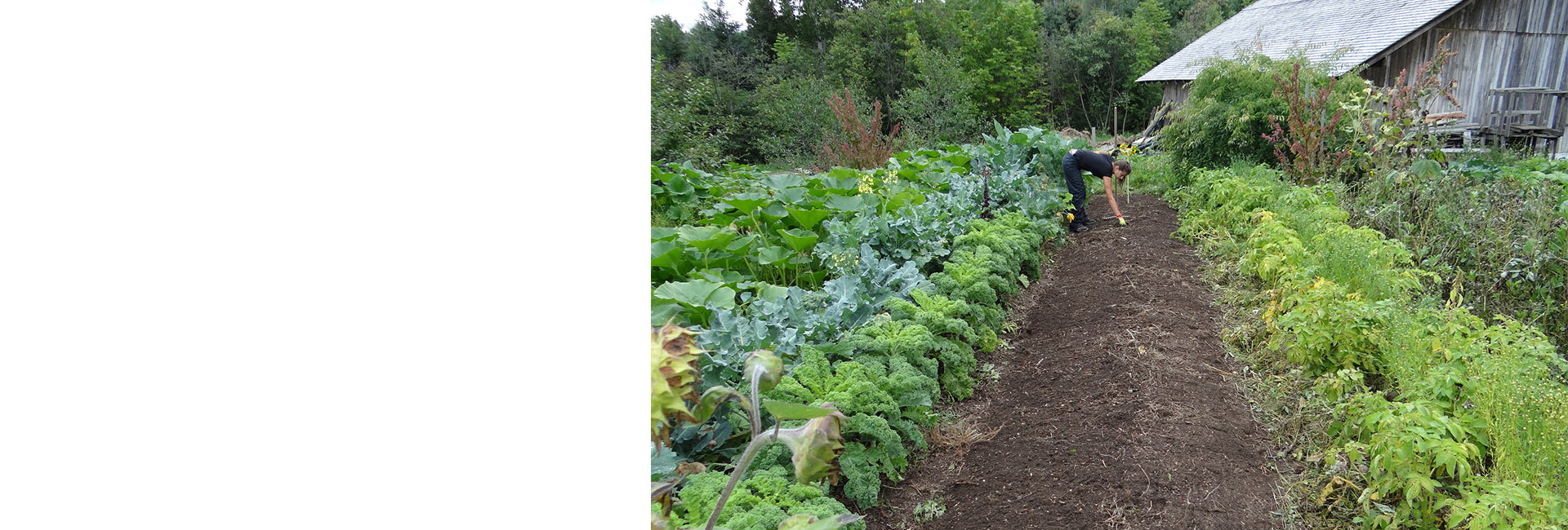 La Huerta La Huerta