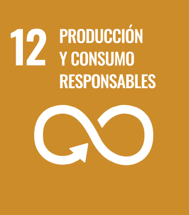 12 Producción y consumo responsables