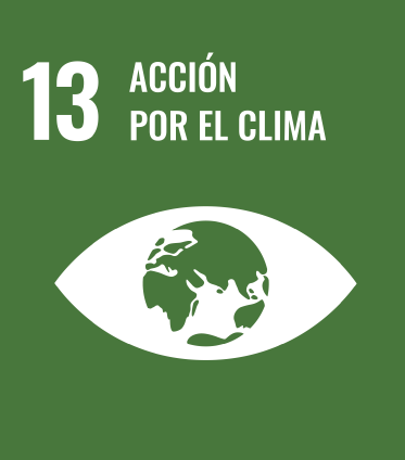 13 Acción por el Clima