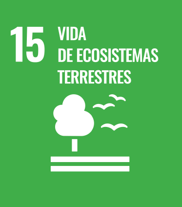 15 Vida de Ecosistemas Terrestres
