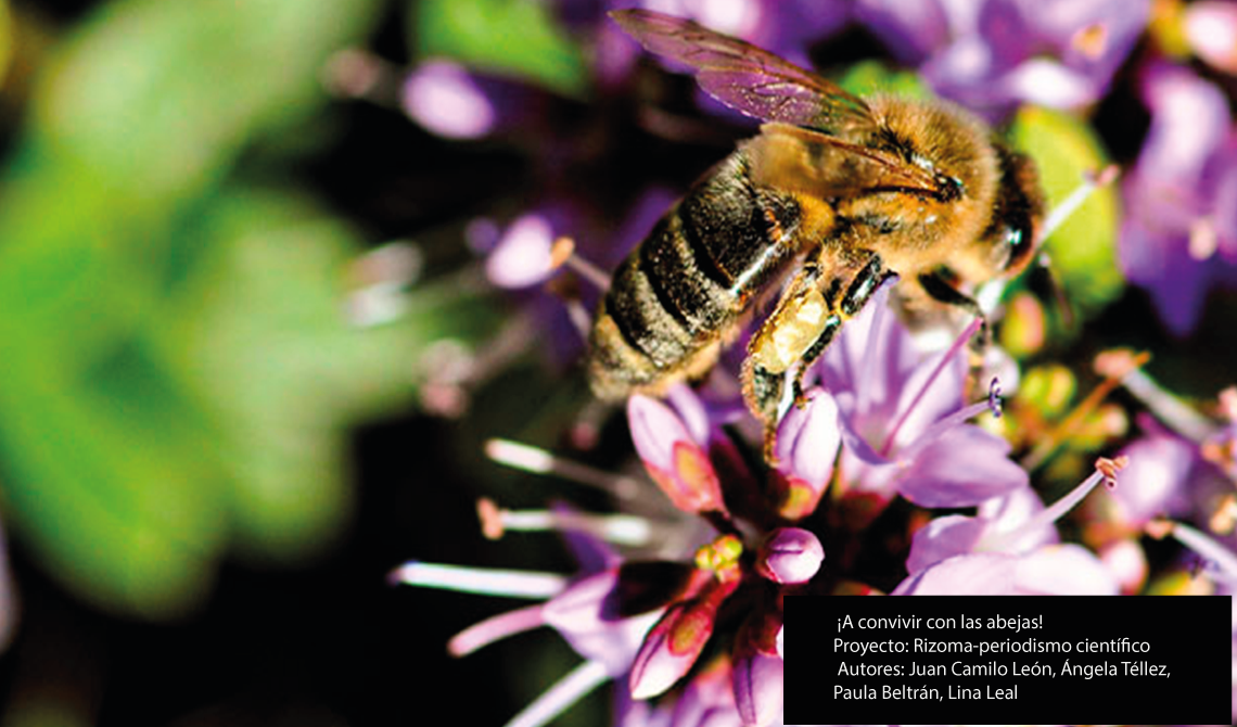 ¡A convivir con las abejas!