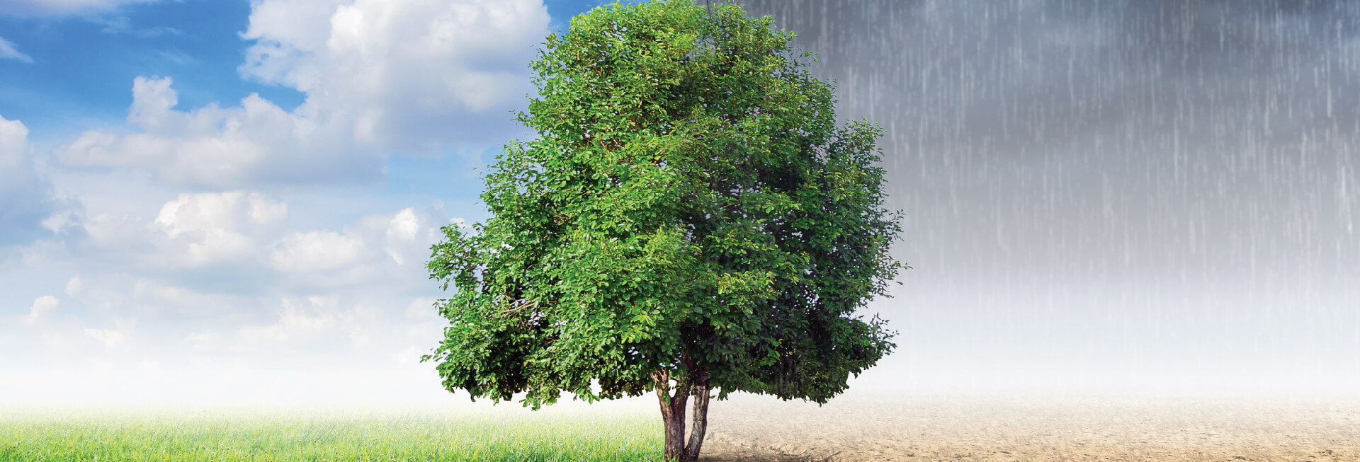 Maestría En Cambio Climático Y Desarrollo Sostenible Maestría En Cambio Climático Y Desarrollo Sostenible
