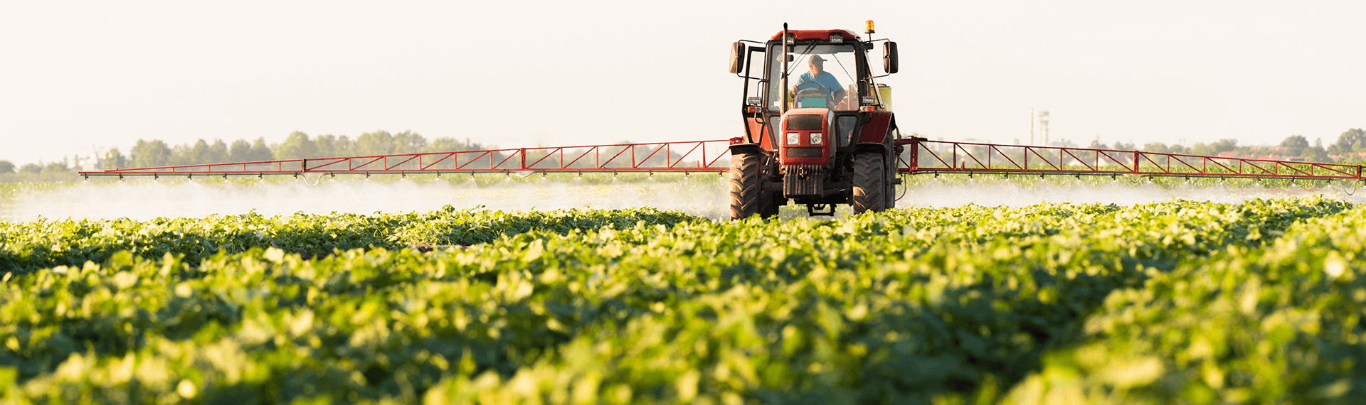 Técnica_Profesional_En_Producción_Agroecológica_De_Cultivos_uniminuto_Carreras Técnica_Profesional_En_Producción_Agroecológica_De_Cultivos_uniminuto_Carreras