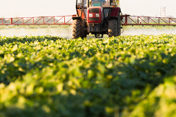 Técnica_Profesional_En_Producción_Agroecológica_De_Cultivos_uniminuto_Carreras