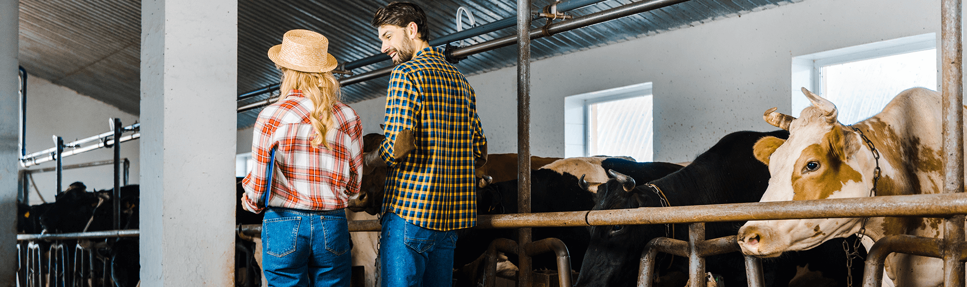 técnica_profesional_en_producción_ganadera_de_carne_Y_Leche_uniminuto_Carreras técnica_profesional_en_producción_ganadera_de_carne_Y_Leche_uniminuto_Carreras