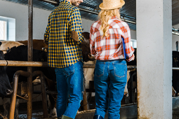 técnica_profesional_en_producción_ganadera_de_carne_Y_Leche_uniminuto_Carreras