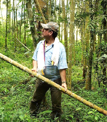 Diplomado Transformación sostenible de la guadua en Cundinamarca