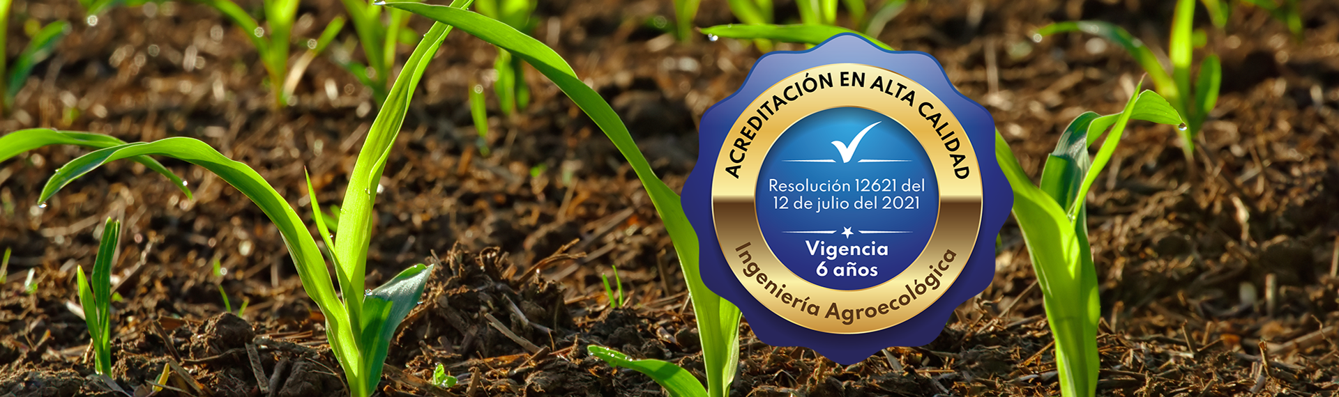 Ingeniería_Agroecológica_UNIMINUTO_Bogotá