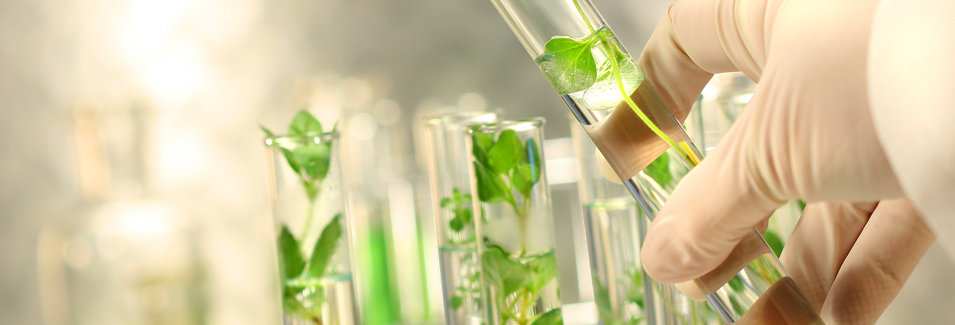 Licenciatura en ciencias naturales y educación ambiental en UNIMINUTO Licenciatura_en_naturales_y_educación_ambiental_uniminuto_Carreras