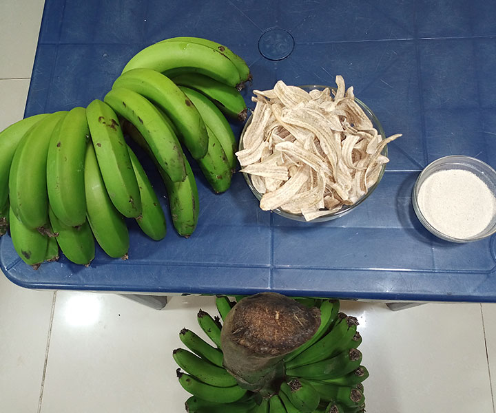 proceso-de-transformacion-del-platano.jpg