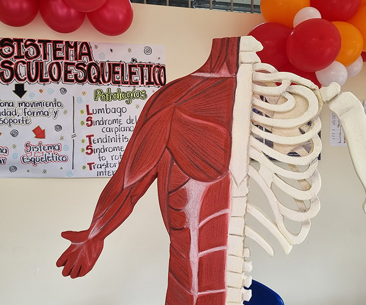 Estudiantes de Pereira socializaron trabajos sobre los entornos laborales en Colombia portada-asst-feria-pereira.jpg
