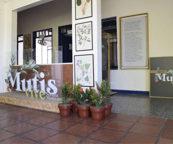 Mutis-Exposición-Ibagué Mutis-Exposición-Ibagué