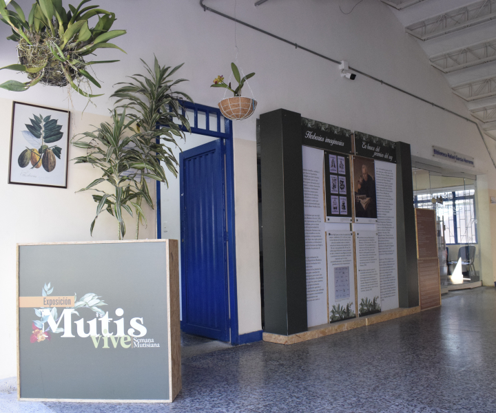 Mutis-Exposición-Ibagué