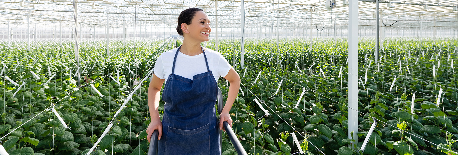 Técnico Laboral Auxiliar de Trabajo Agrícola en UNIMINUTO Técnico_Laboral_Auxiliar_de_Trabajo_Agrícola_UNIMINUTO