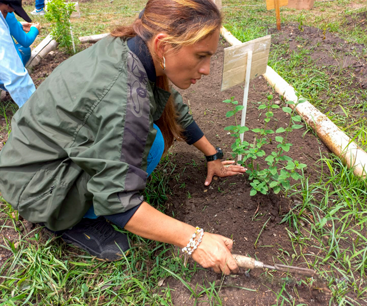 Estudiante del programa de Licenciatura en Ciencias Naturales y Educación Ambiental, realizando actividades en la huerta.