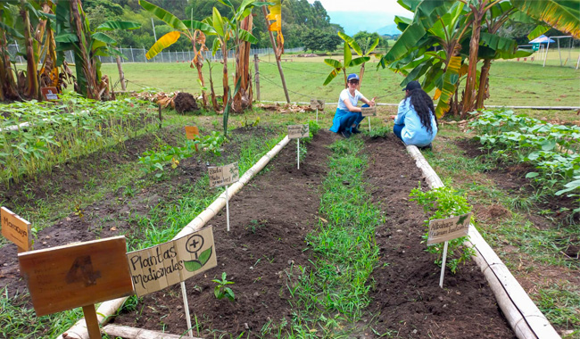 Estudiantes del programa de Licenciatura en Ciencias Naturales y Educación Ambiental, realizando actividades en la huerta.