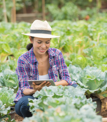 Seguridad alimentaria y agricultura sostenible convocatoria emprendeverde