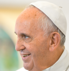 Descripción de categoria