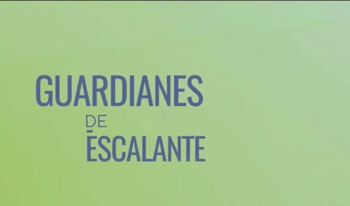 Video guardianes de escalante