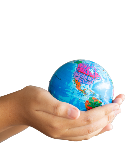 Tipos de Aliados PCIS