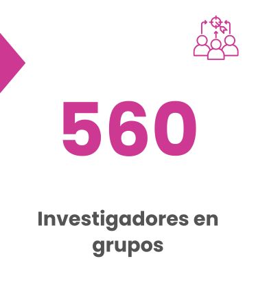 Investigadores en grupos