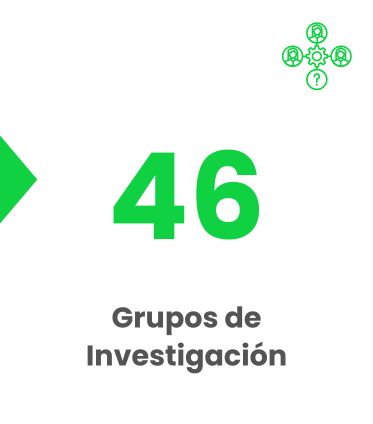 Grupos de Investigación