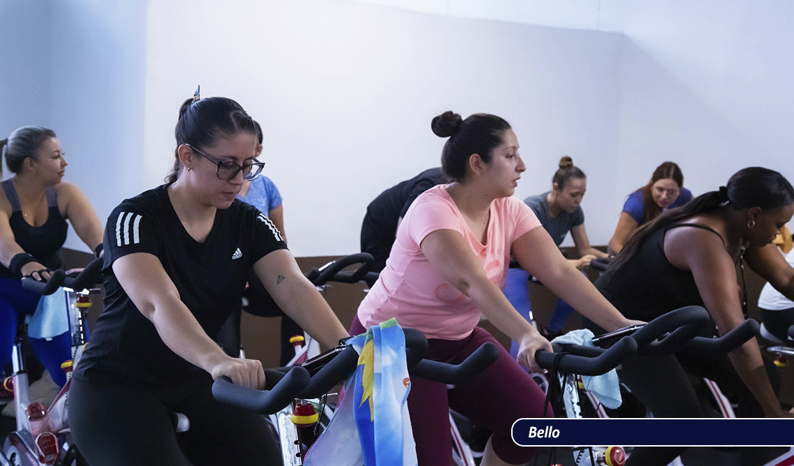 Gimnasio FEVD